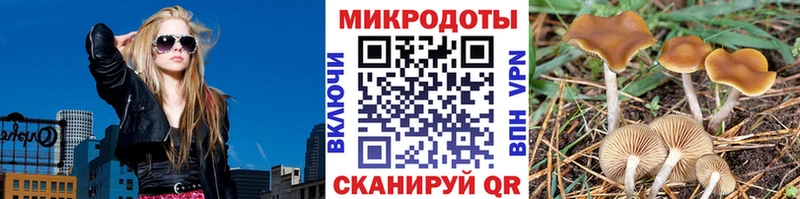 Галлюциногенные грибы ЛСД  Спас-Деменск 